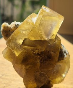 Alternative view of Fluorine du Beix 