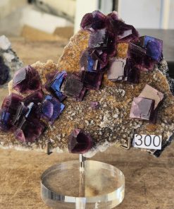 Alternative view of Fluorine Anhui