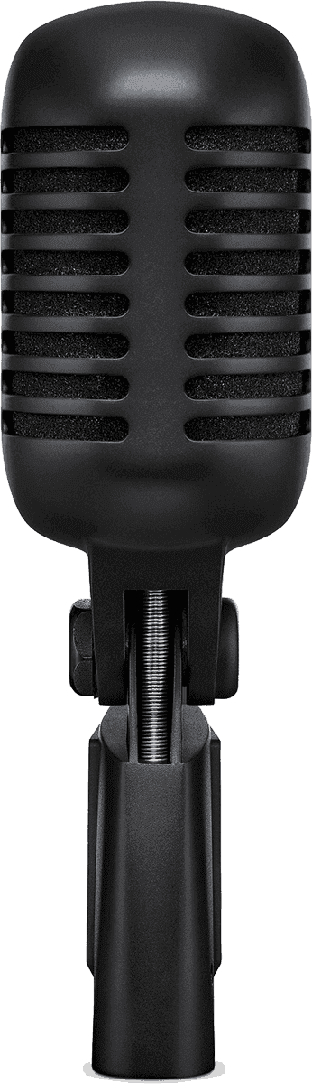 Micro Shure SUPER55 BLK – Archive – – Image 3