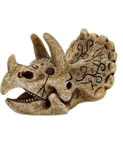 Crâne de Triceratops S – 6,2 x 8 x 4,2 cm