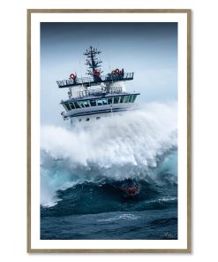 Tableau M.Rivrin Abeille Bourbon Tempête Ciaran 82x122cm