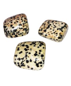 Alternative view of Pierres roulées Jaspe dalmatien – 1Kg
